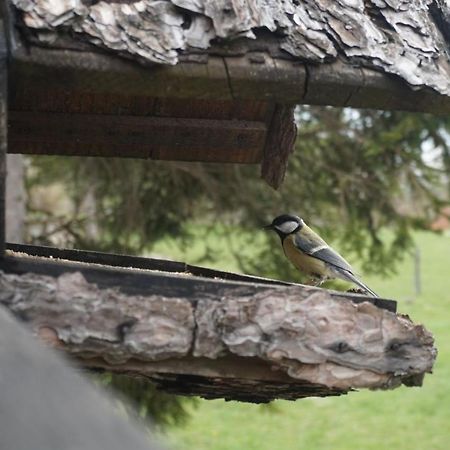 Tilia Cottage Banjska Stena Mitrovac Bagian luar foto