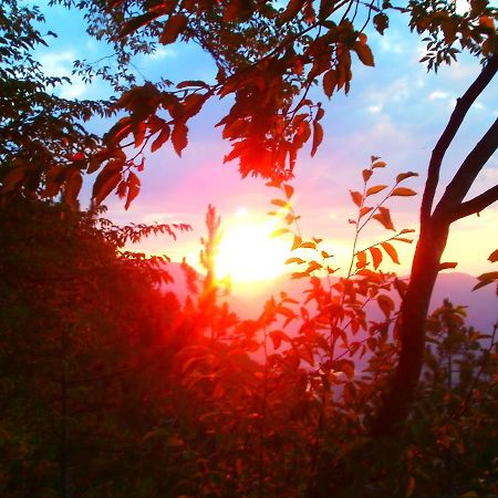 Tilia Cottage Banjska Stena Mitrovac Bagian luar foto