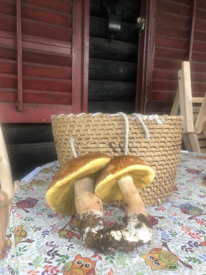 Tilia Cottage Banjska Stena Mitrovac Bagian luar foto