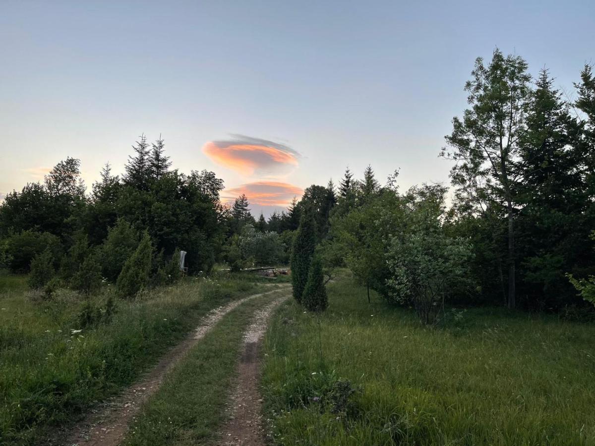 Tilia Cottage Banjska Stena Mitrovac Bagian luar foto
