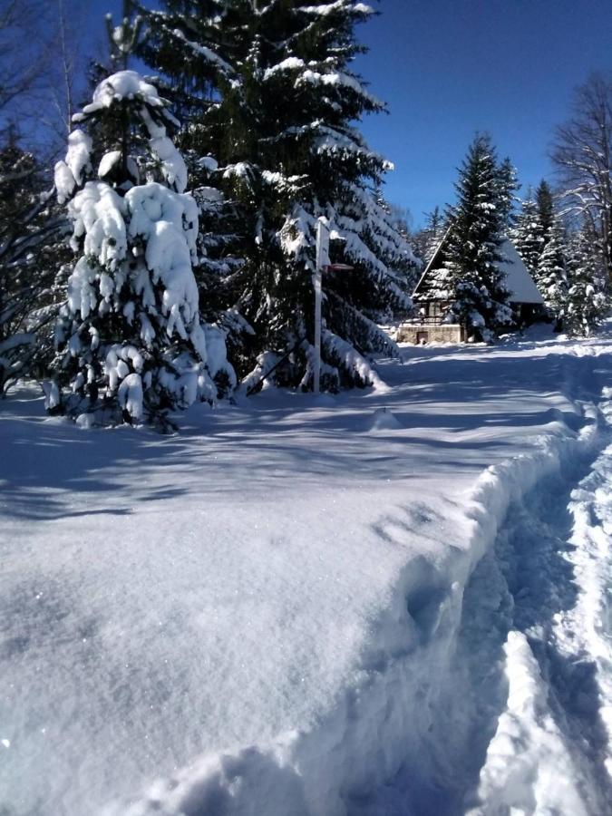 Tilia Cottage Banjska Stena Mitrovac Bagian luar foto