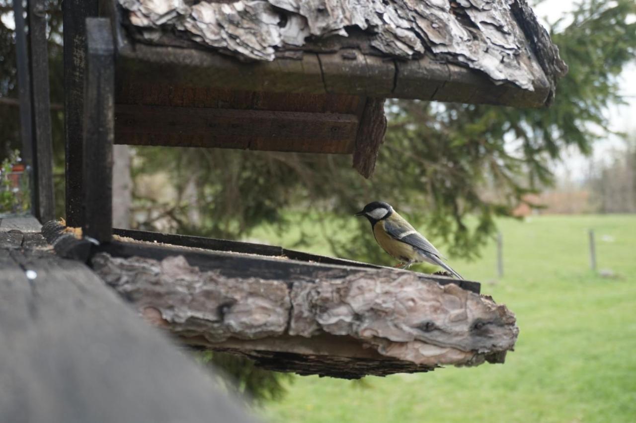 Tilia Cottage Banjska Stena Mitrovac Bagian luar foto