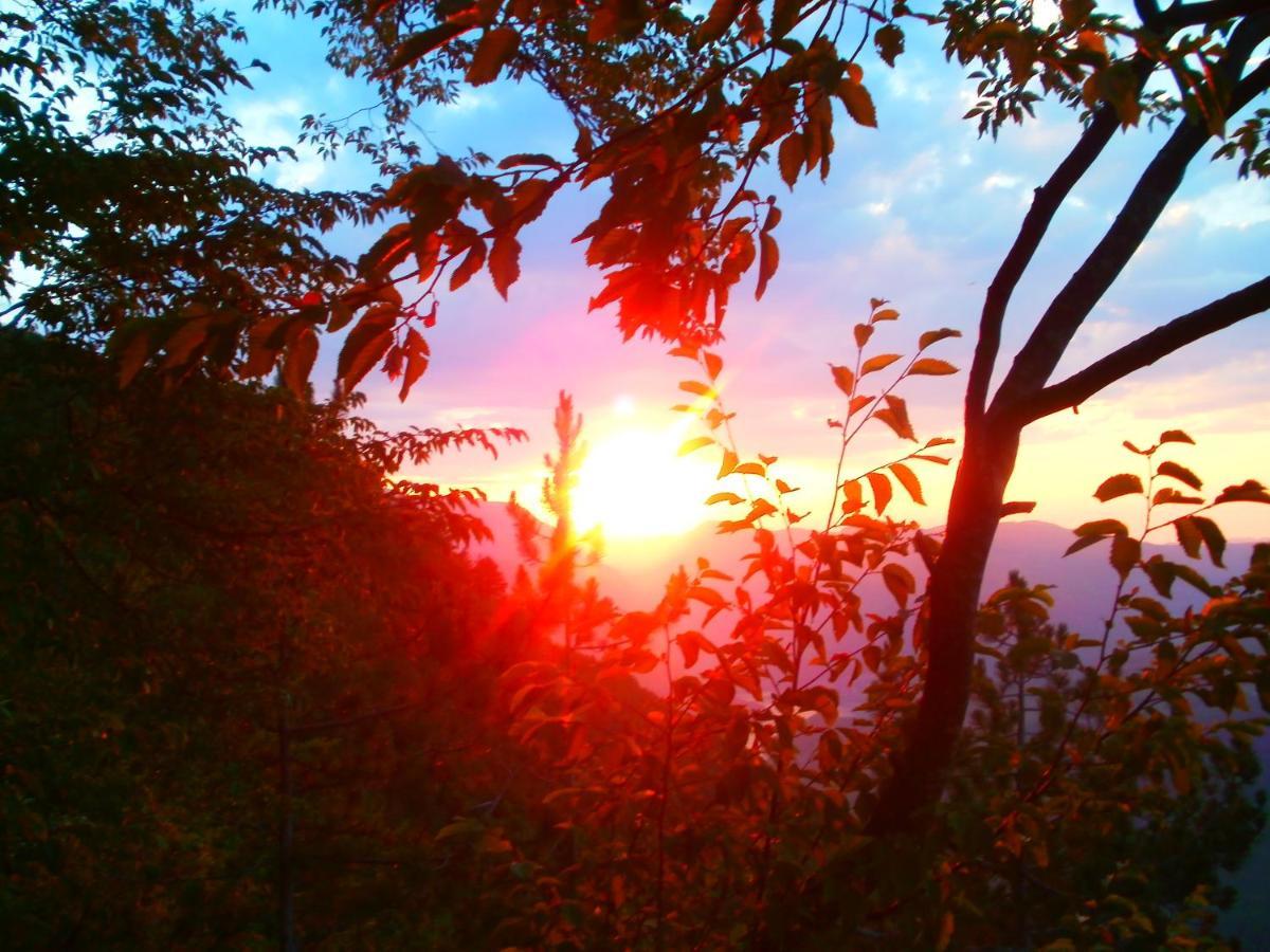 Tilia Cottage Banjska Stena Mitrovac Bagian luar foto